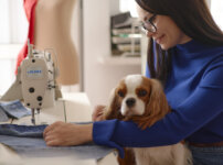 犬服の製作イメージ
